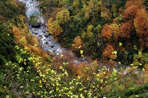 Herbstimpression ND