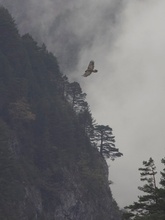 Geierschlucht