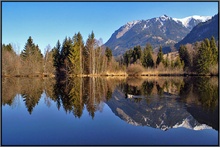 Am Moorweiher