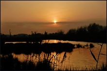 Abendstimmung in den Rieselfeldern