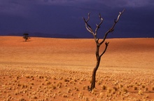 Namib