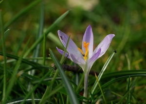Frühling_2007