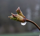 ND kalter Frühlingsmorgen