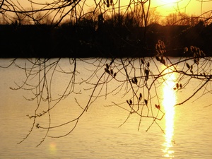 Stausee Dorsten-Holsterhausen ND