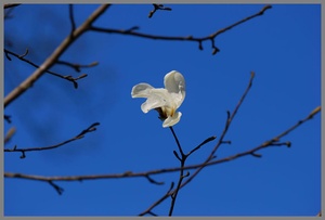 Der Frühling ist da...