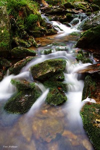 Rauschen am Bach