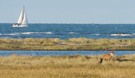 Der Nebenbuhler vor dem weiten Meer