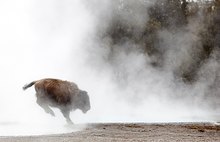 Crossing the Creek