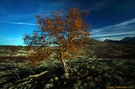Herbst im Norden