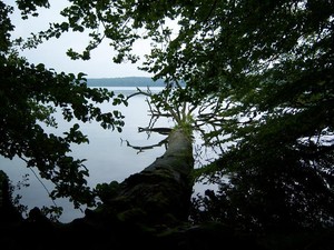 Markus Bresch/ Blick auf den Stechlin See