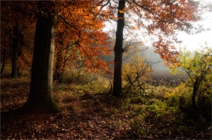 Blick nach Draussen