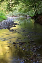 Baybachklamm