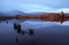 Herbst im Moor