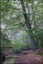 Herbstbeginn im Rotbachtal