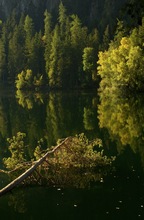 Herbst am Piburger See