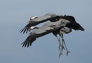 Am Bodden 1