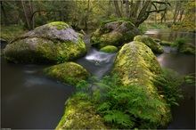 Granitblöcke in der Waldnaab