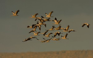 Abflug nach hause