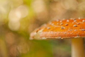 Aus einer anderen Perspektive...