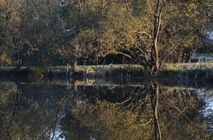 Spiegelung am See