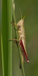 Tatsächlich vergessen...