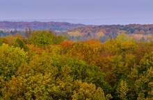 Herbstfarben im Hainich