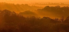 "Sonnenaufgang über den Hainich"