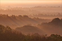 Frühmorgens im Nationalpark Hainich