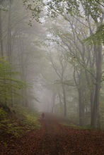 Herbstspaziergang