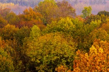 Leuchtend bunt