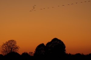 Abendglühen