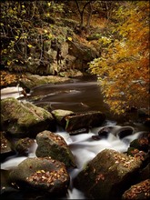 zauberhaftes Bodetal