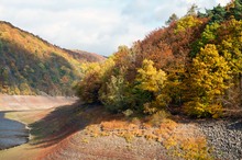 herbstlicher Wald am Edersee