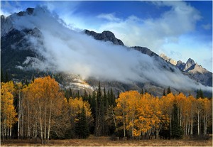 Rocky Mountain Fall