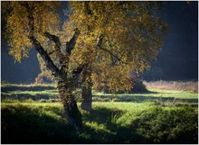 Fränkische Landschaft