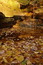 Weggespülter Herbst