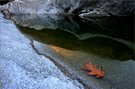 - Verzasca im Herbst -