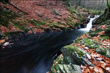 Cascade Leopold II