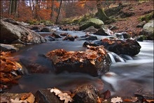 Herbst an der Hoëgne