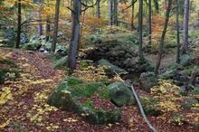 Im Tal der Steinernen Renne