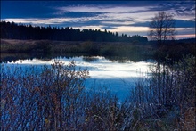 Abendstimmung im Hohen Venn