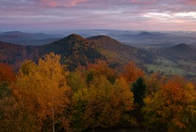 Herbst über dem Wald