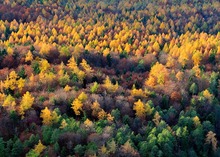 Herbst im Berchtesgadener Land