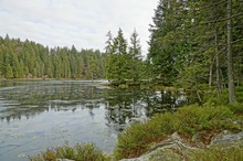 Großer Arbersee