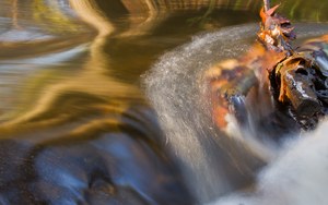 Serenade vom herbstlichen Plätschern...