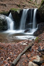 In der Ehrbachklamm III...