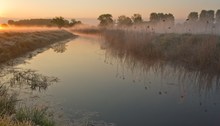 Maienmorgen an der ELDE...