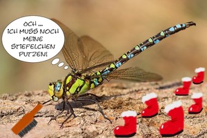 Stiefel putzen nicht vergessen!