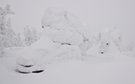 Whiteout
