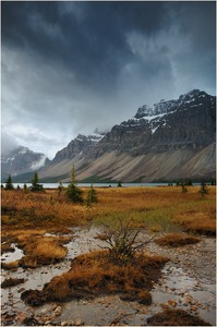Herbst am Bow Lake